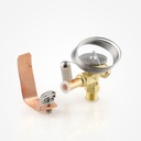 Thermostatic expansion valve-ODS 068Z3502 T2 R407C F/S (TZ2 N)