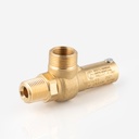 Safety valve D10/CS 1/2"NPT - 3/4"G 16,5bar