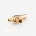 Safety valve D10/CS 1/2"NPT - 3/4"G 25bar Co2