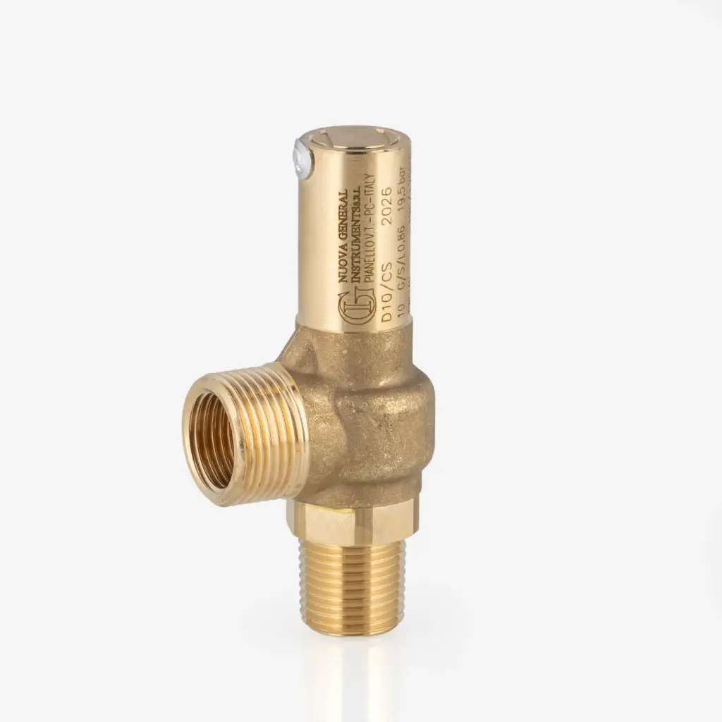 Safety valve D10/CS 1/2"NPT - 3/4"G 19,5bar