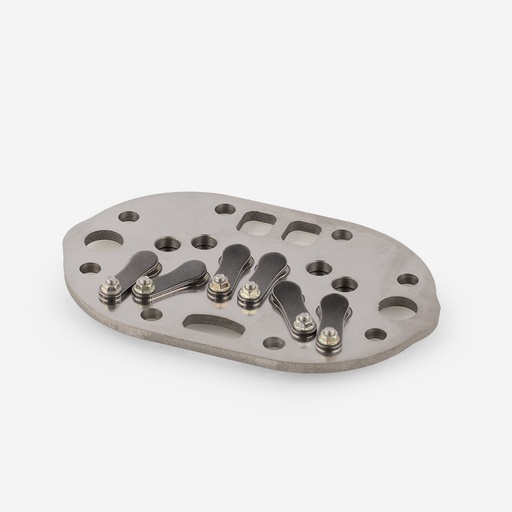 [A03422179] Bitzer valve plate complete 30401702