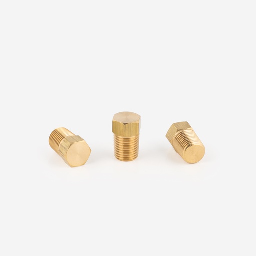 [F05011042] NPT plug 7520/2 1/4" NPT