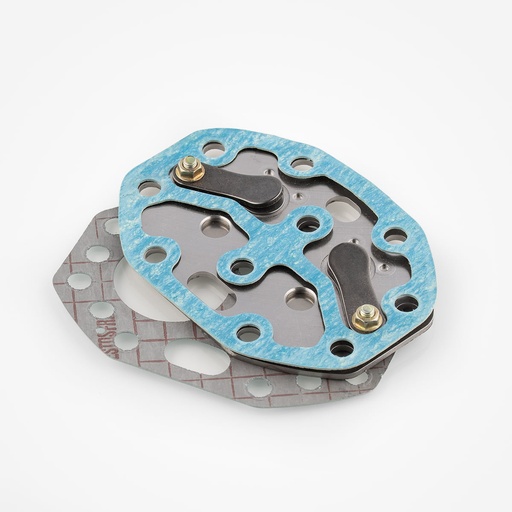 [A03641021] SK12502 valve plate kit Frascold