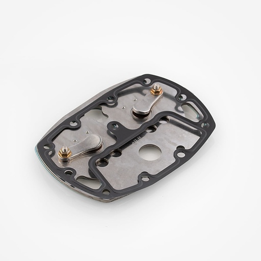 [A03641026] S4231006-C valve plate kit Frascold 